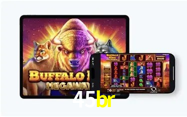 Experiência VIP 45br