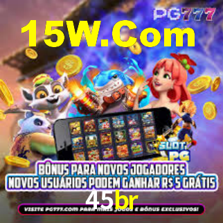 45br App Interface